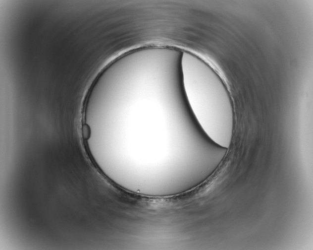 X0000088700903200705311014