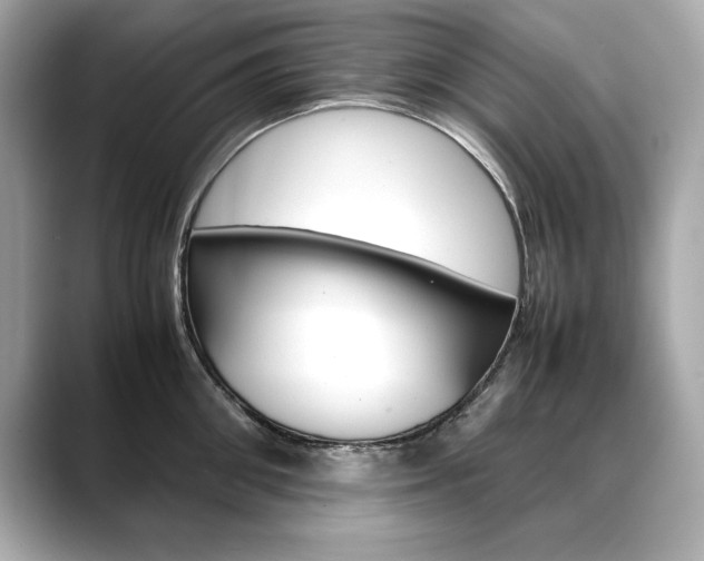 X0000088700906200705311014