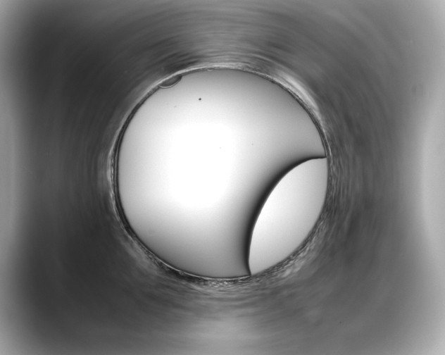 X0000088700907200705311014
