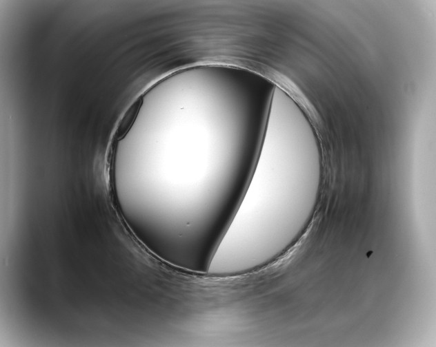 X0000088700908200705311014