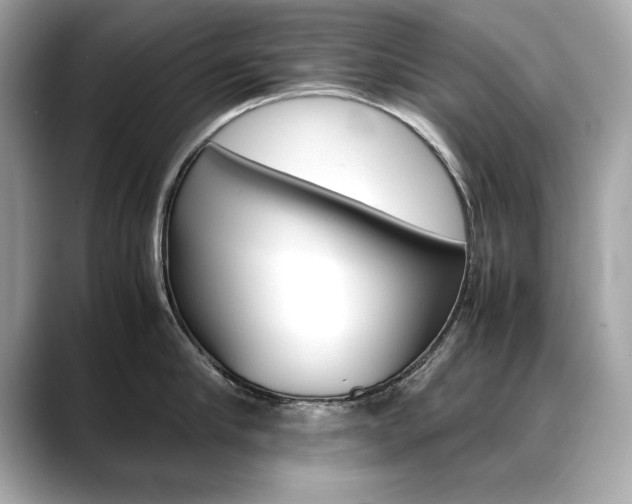 X0000088700910200705311014