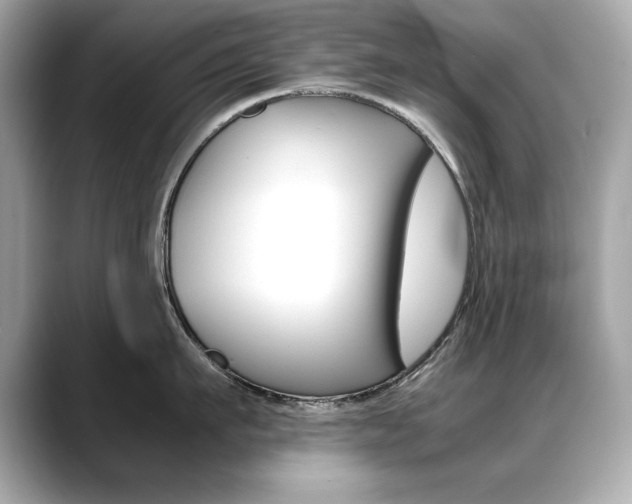 X0000088700911200705311014