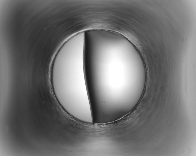X0000088700912200705311014