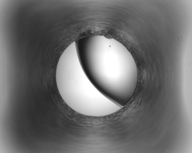 X0000088700914200705311013