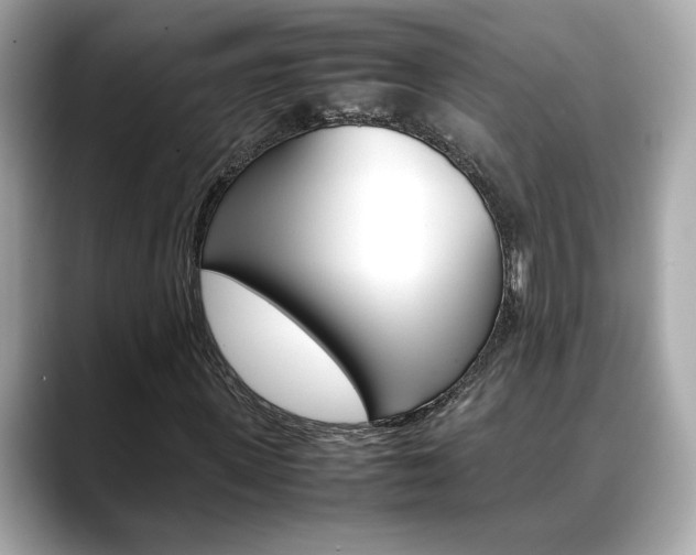 X0000088700915200705311013