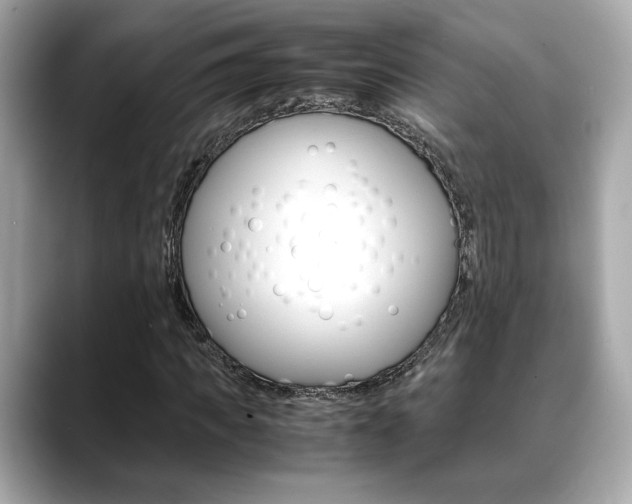 X0000088700917200705311013
