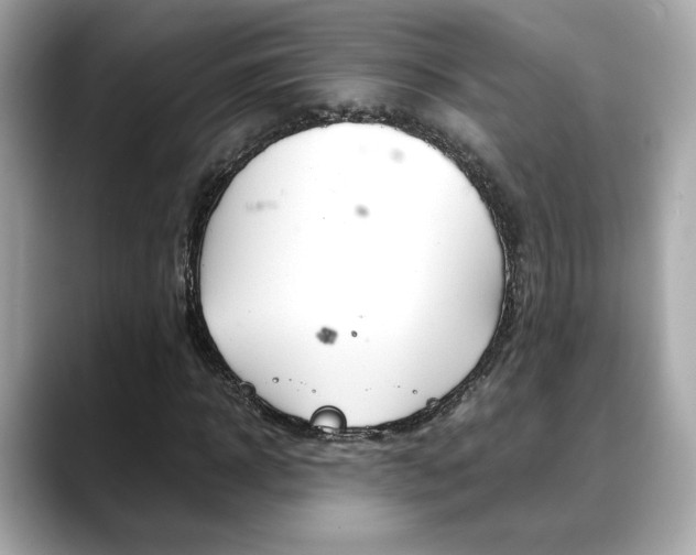 X0000088700918200705311013