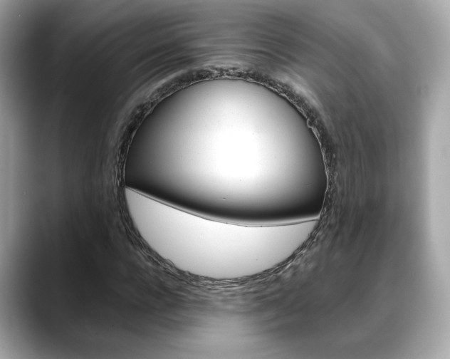 X0000088700920200705311013
