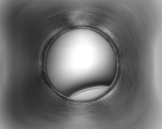 X0000088700922200705311013