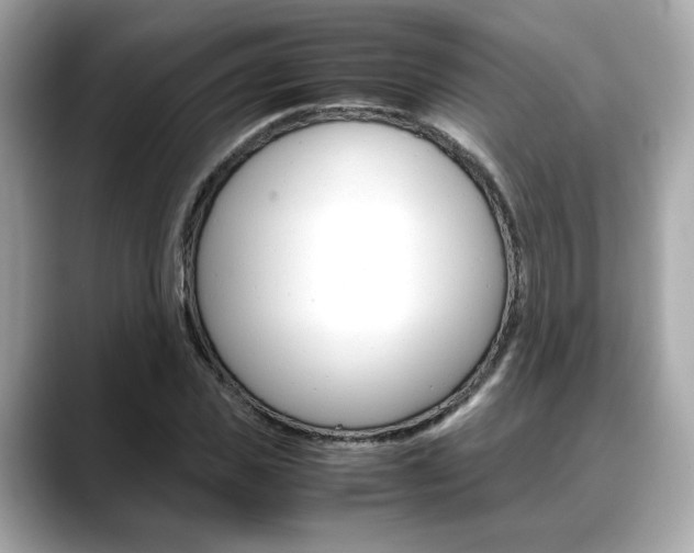 X0000088700925200705311013