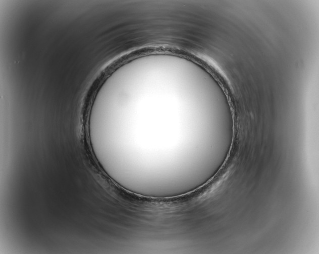 X0000088700927200705311013