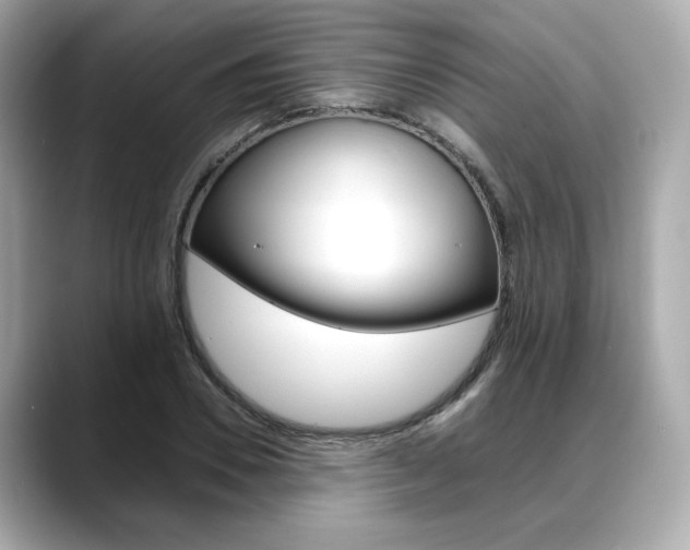X0000088700930200705311013
