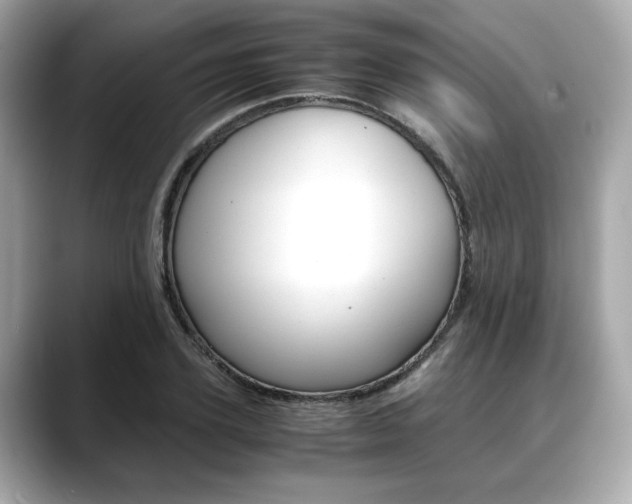 X0000088700931200705311013