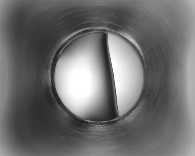 X0000088700935200705311013