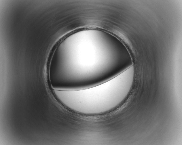 X0000088700936200705311013