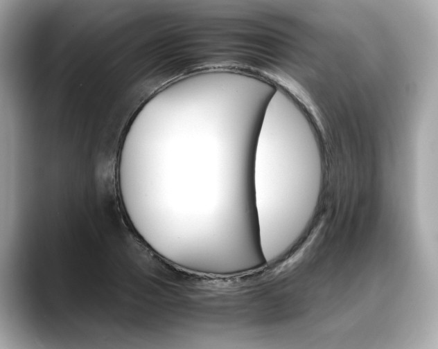 X0000088700937200705311013
