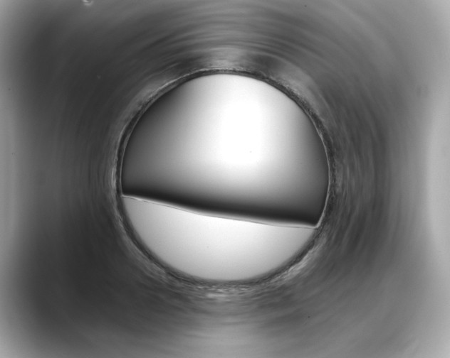 X0000088700938200705311013