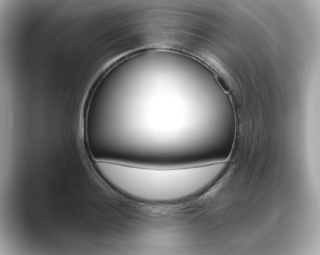 X0000088700940200705311013