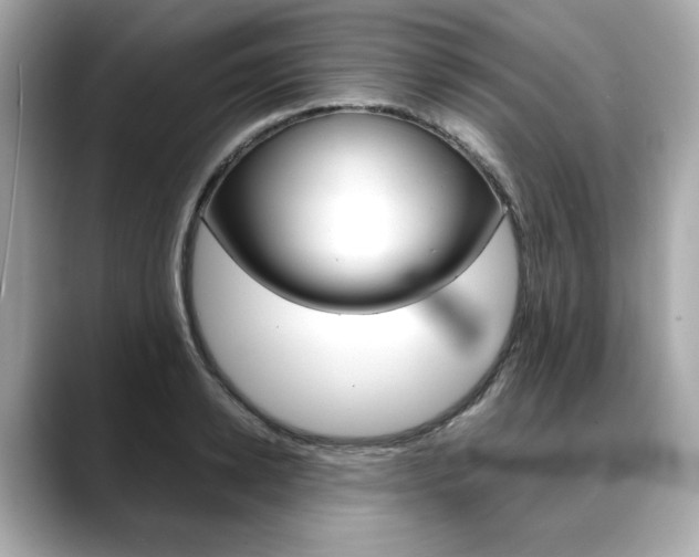 X0000088700942200705311013