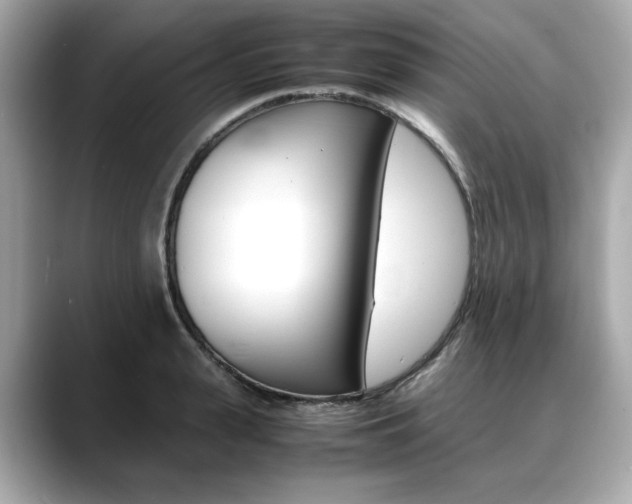 X0000088700943200705311013