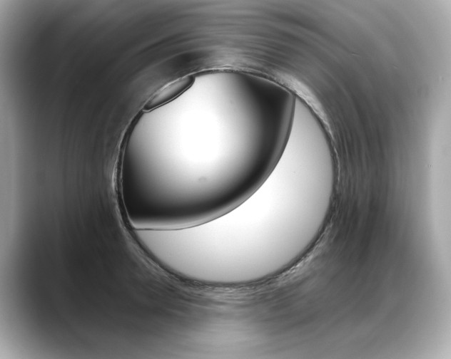 X0000088700946200705311013