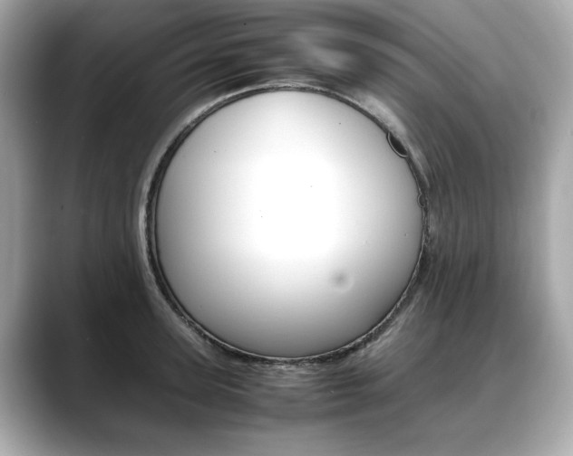 X0000088700947200705311013