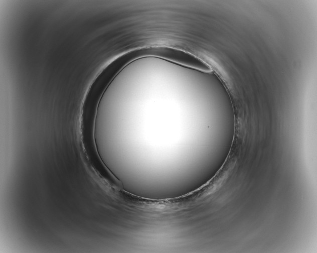 X0000088700948200705311013