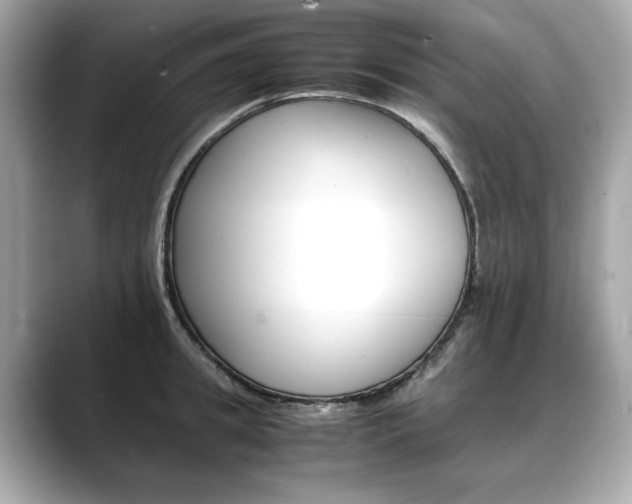 X0000088700949200705311013