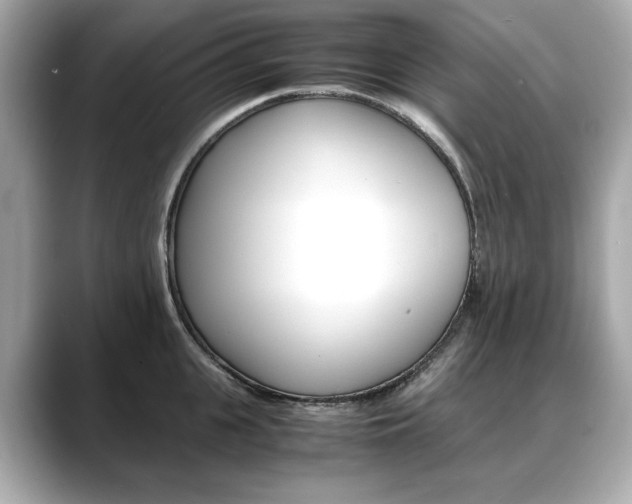 X0000088700951200705311013