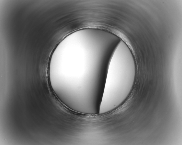 X0000088700954200705311013