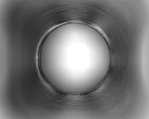 X0000088700955200705311013