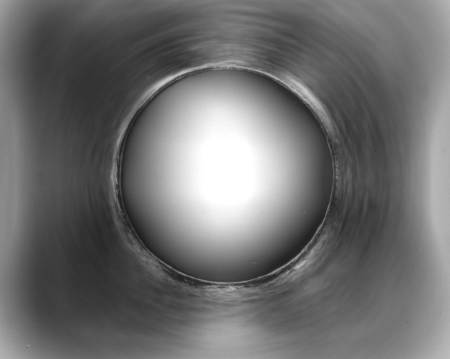 X0000088700956200705311013
