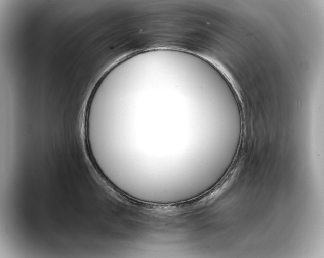X0000088700957200705311013