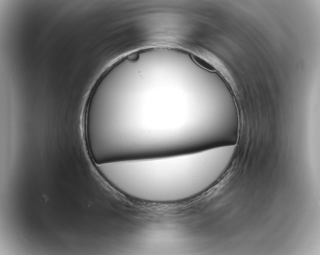 X0000088700958200705311013