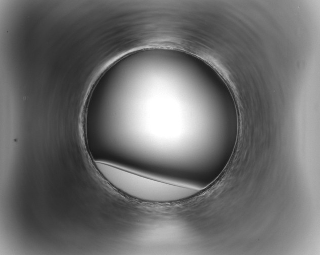 X0000088700960200705311014