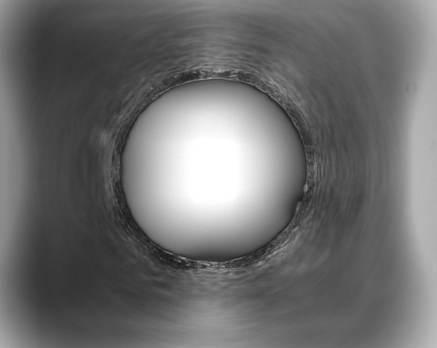 X0000088700961200705311013