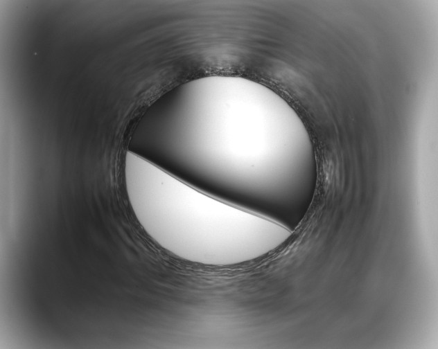 X0000088700964200705311013
