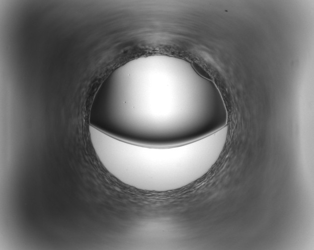 X0000088700965200705311013