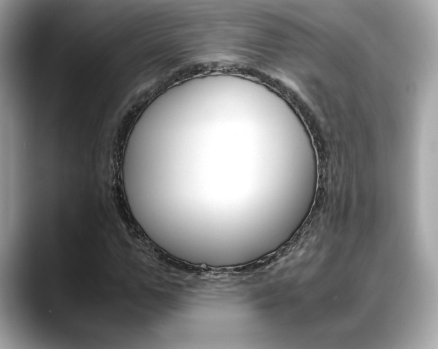 X0000088700967200705311013