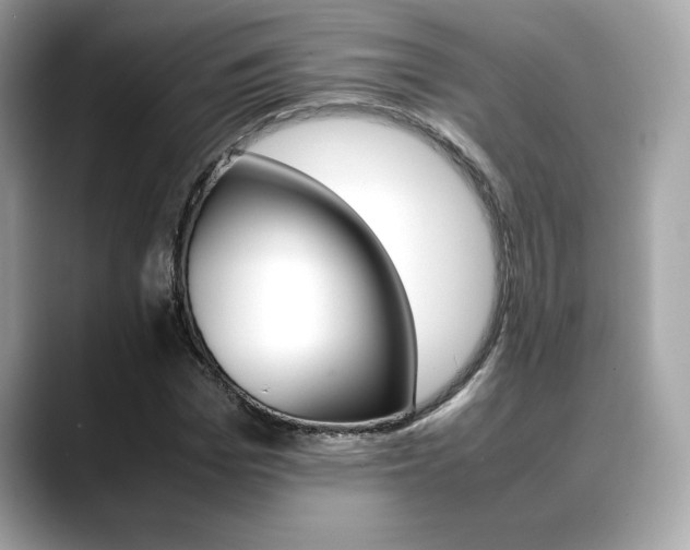X0000088700969200705311013