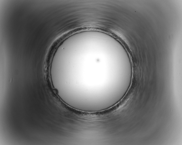 X0000088700971200705311013