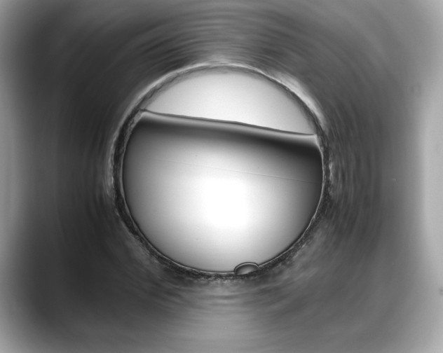 X0000088700972200705311013