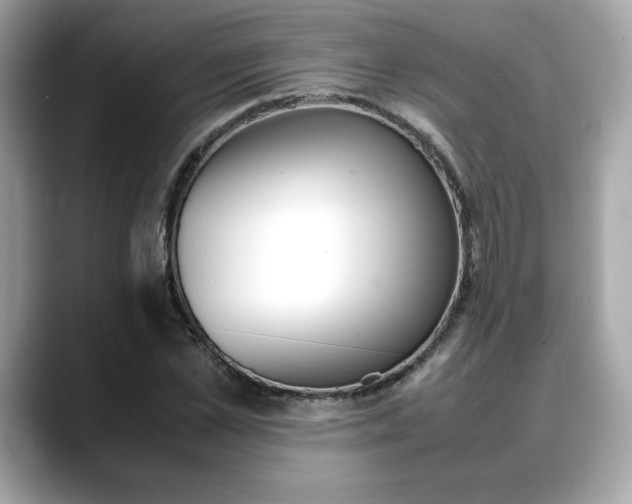 X0000088700973200705311013
