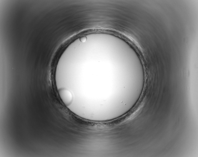 X0000088700974200705311013