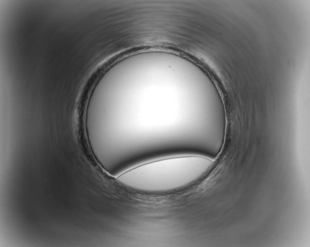 X0000088700975200705311013