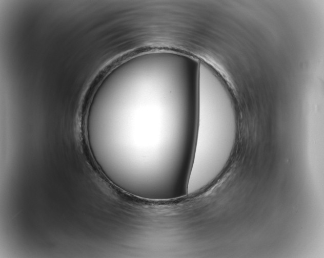 X0000088700976200705311013