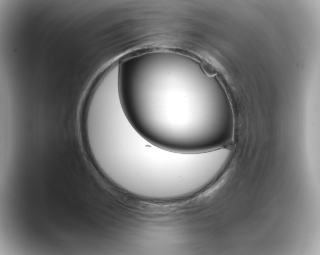 X0000088700981200705311013