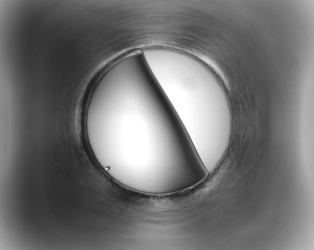 X0000088700983200705311013