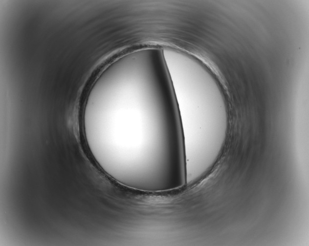 X0000088700984200705311013