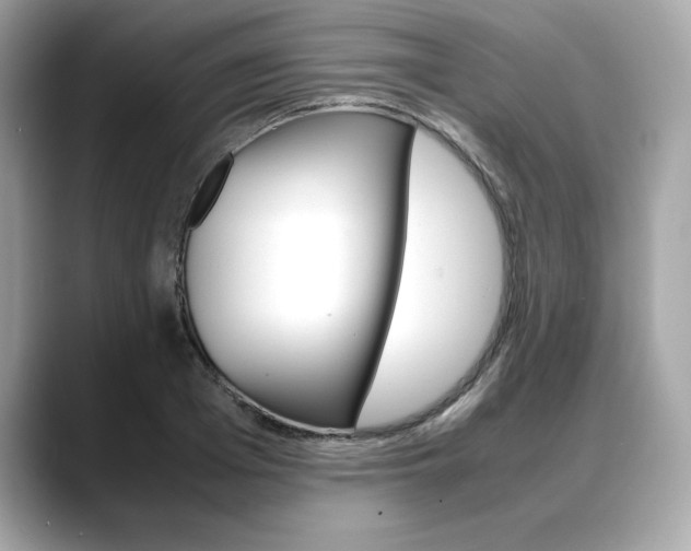 X0000088700985200705311013